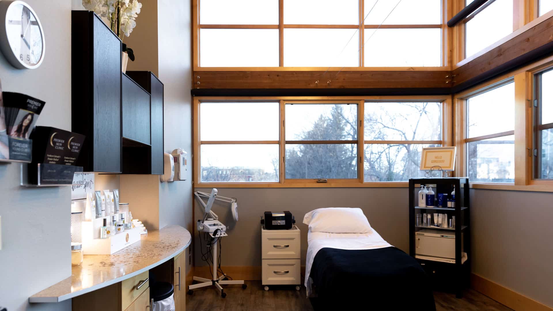 Premier Skin Clinic Misc 7